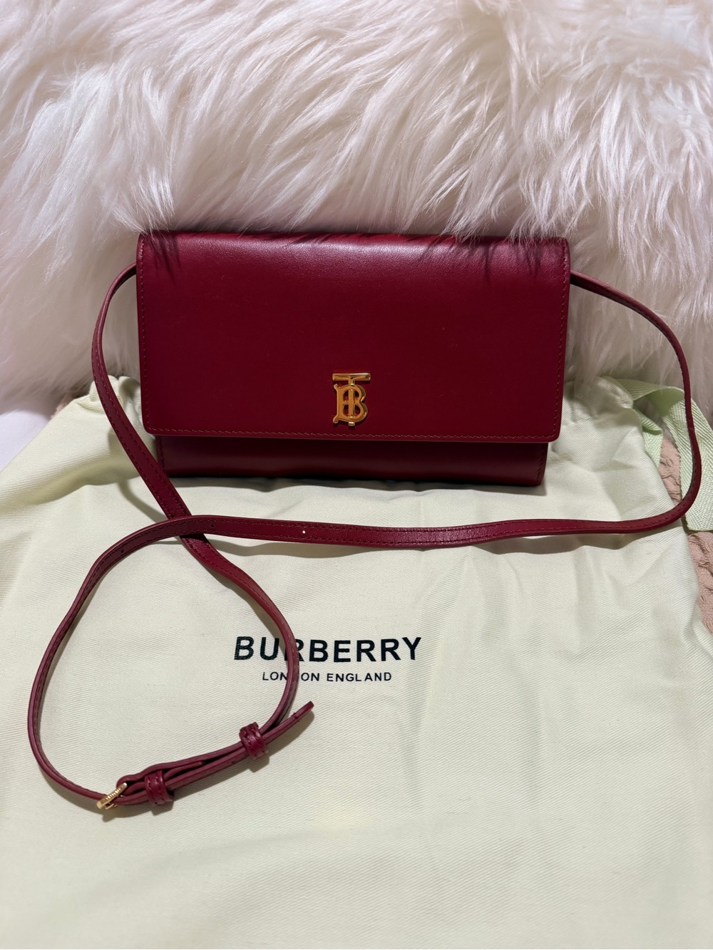 Burberry Burgundy Leather Crossbody Bag